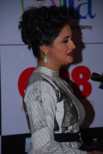 Rashmi Desai at ITA Awards red carpet in Mumbai on 1st Nov 2014